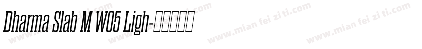 Dharma Slab M W05 Ligh字体转换